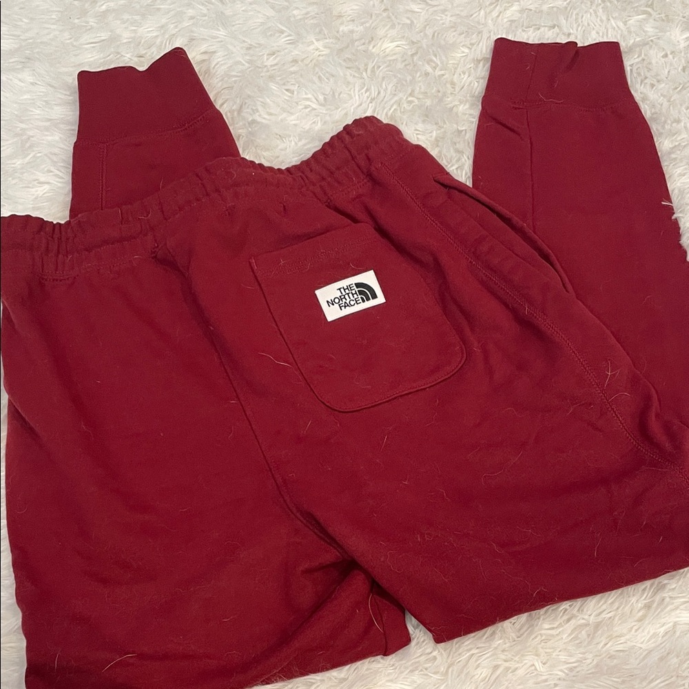 The North Face Kids Burgundy Sweatpants